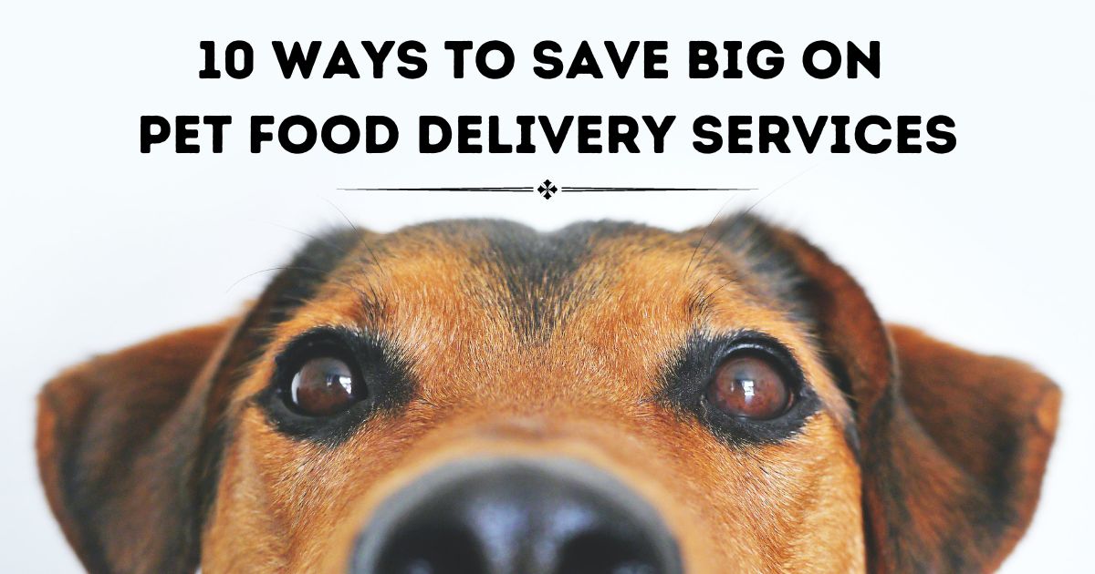 free or cheap pet food delivery