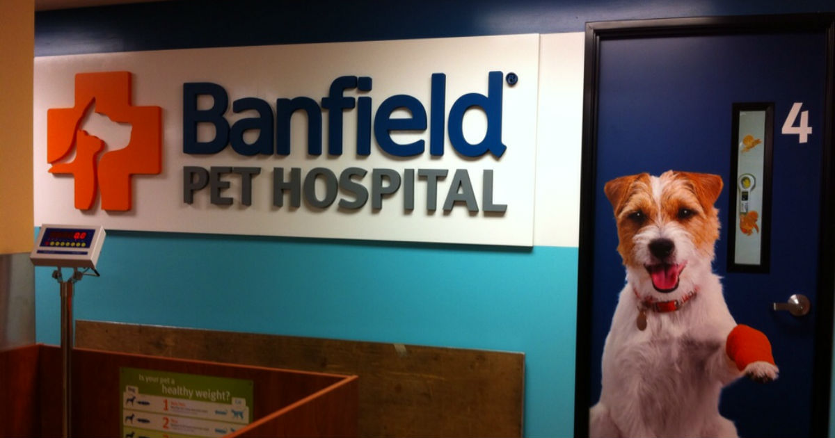Banfield Free Office Visit