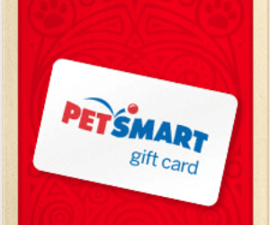 Win 1 of 87 Petsmart Gift Cards Instantly or a $2,500 Cat Condo - Free ...