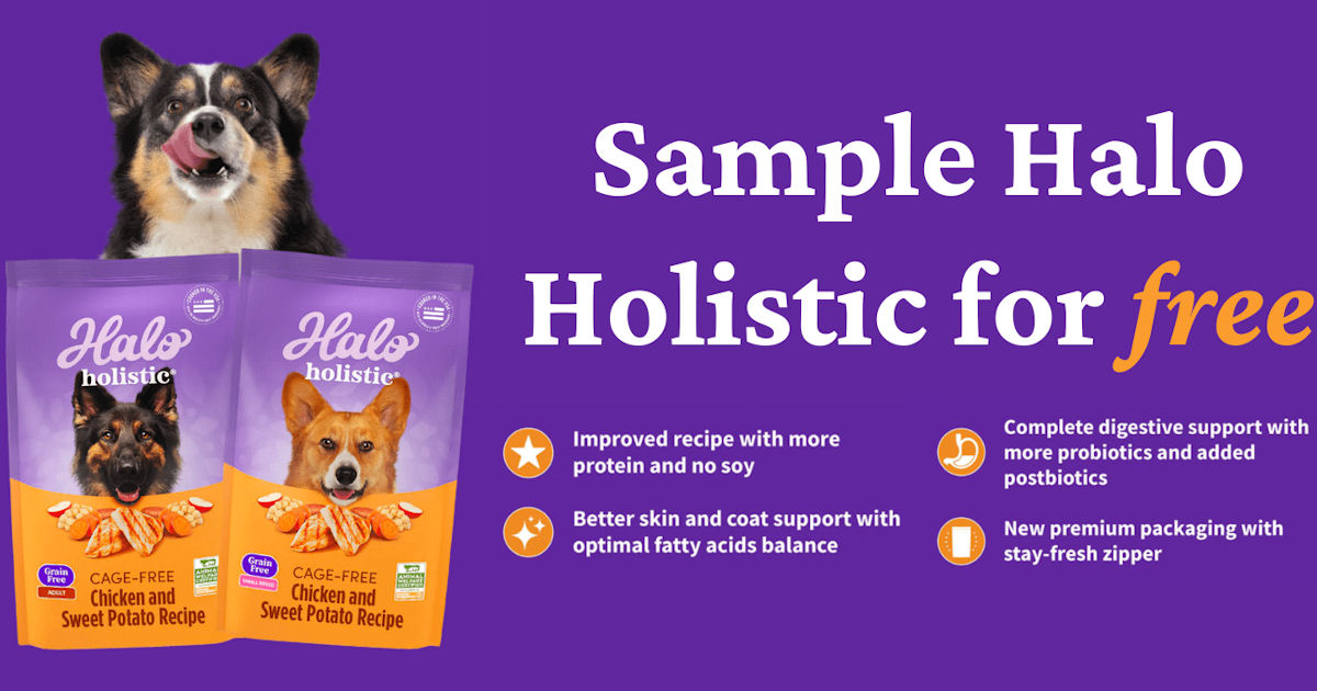 halo holistic dog food