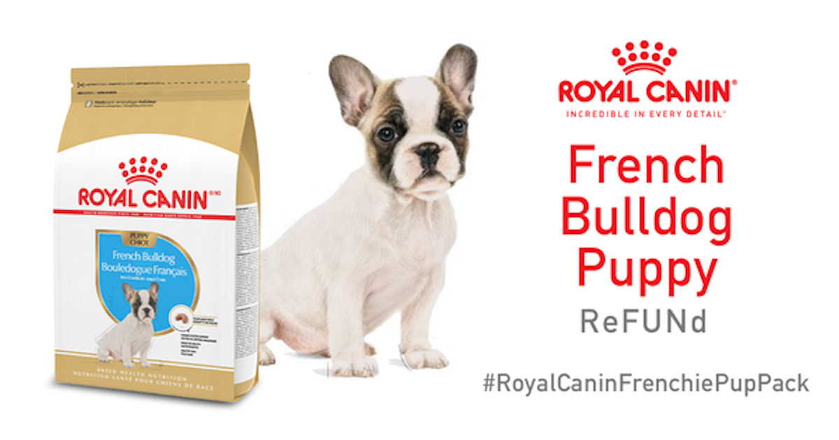 Ripple Street Royal Canin French Bulldog Puppy R